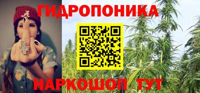 2c-b Боровичи